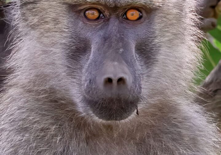 20230221-2H4A1710-LINEC_Tanzania-Edit-2-Edit